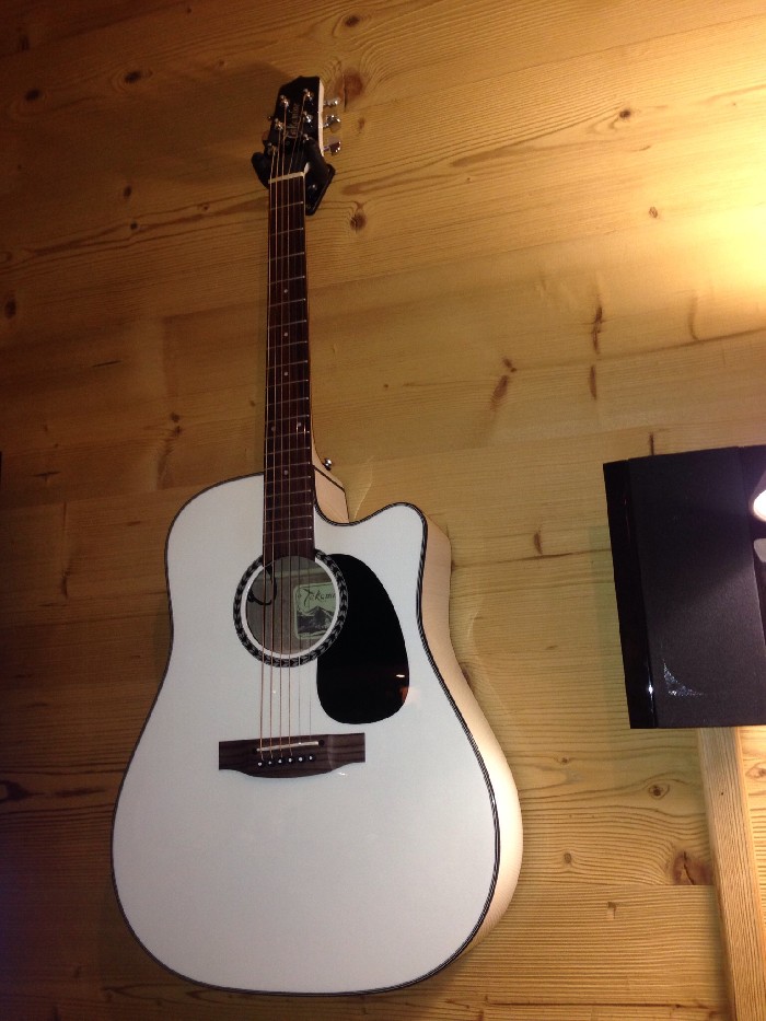 formal Registro chatarra Guitarra electroacústica Takamine EF300SE en venta