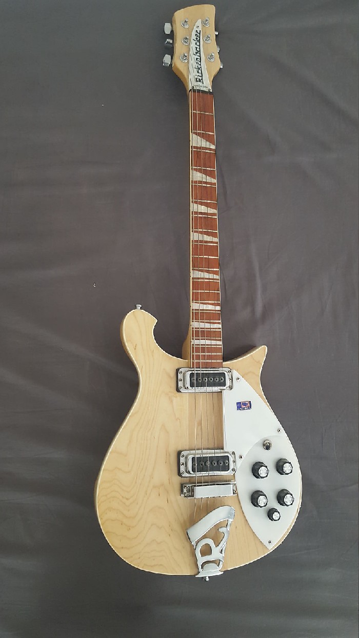 Ga trouwen Afstudeeralbum Refrein Elektrisch Solid body Gitaar Rickenbacker 620 te koop